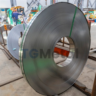 310S 309S Stainless Steel Strip/Coil